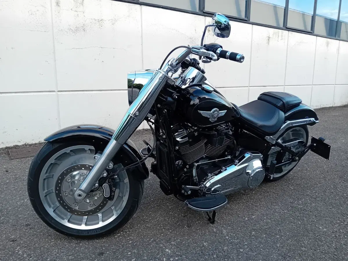 Harley-Davidson Fat Boy 114 (2021 - 24) (4)