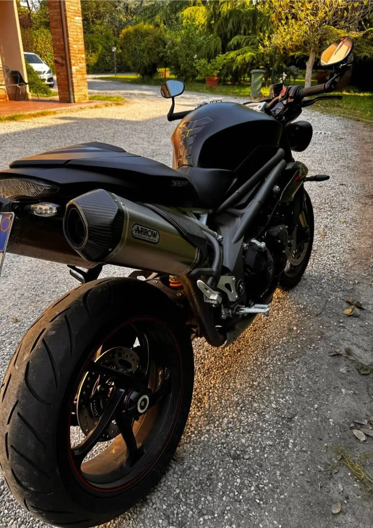 Triumph Speed Triple 1050 RS (2018 - 20) (3)