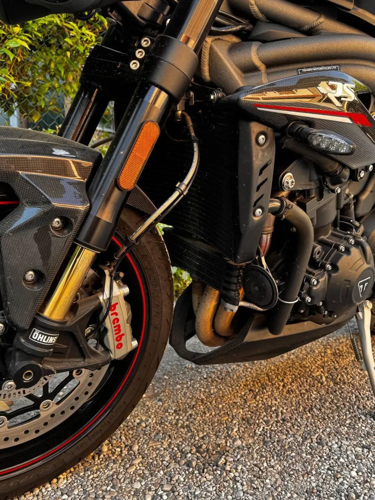 Triumph Speed Triple 1050 RS (2018 - 20) (5)