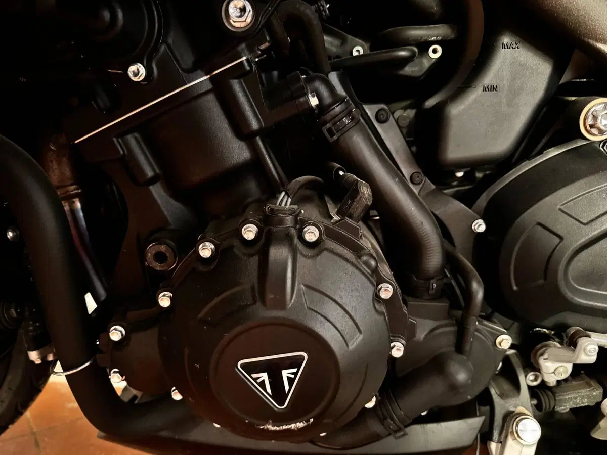 Triumph Speed Triple 1050 RS (2018 - 20) (8)