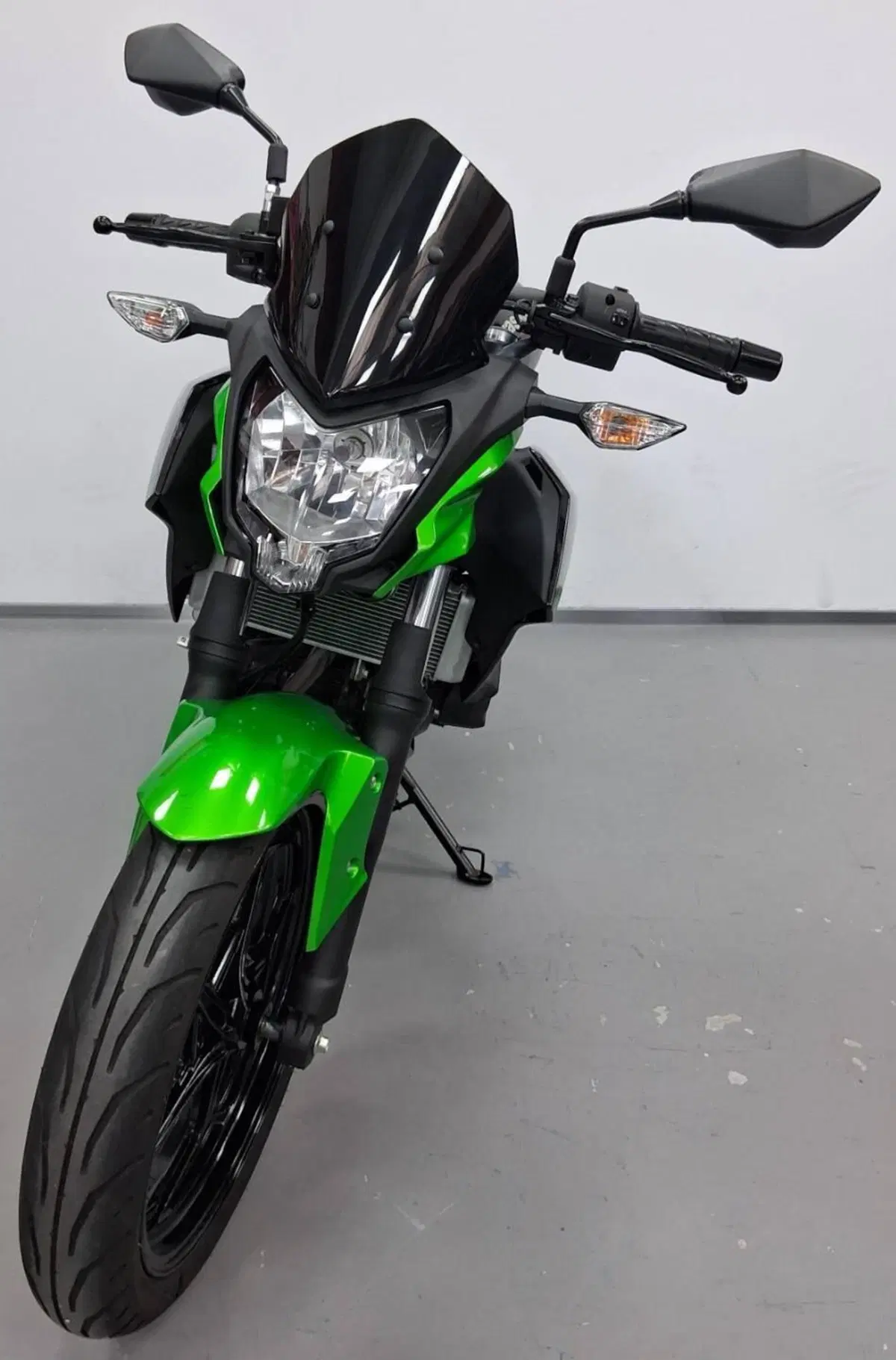 Kawasaki Z 125 (2021 - 24) (2)