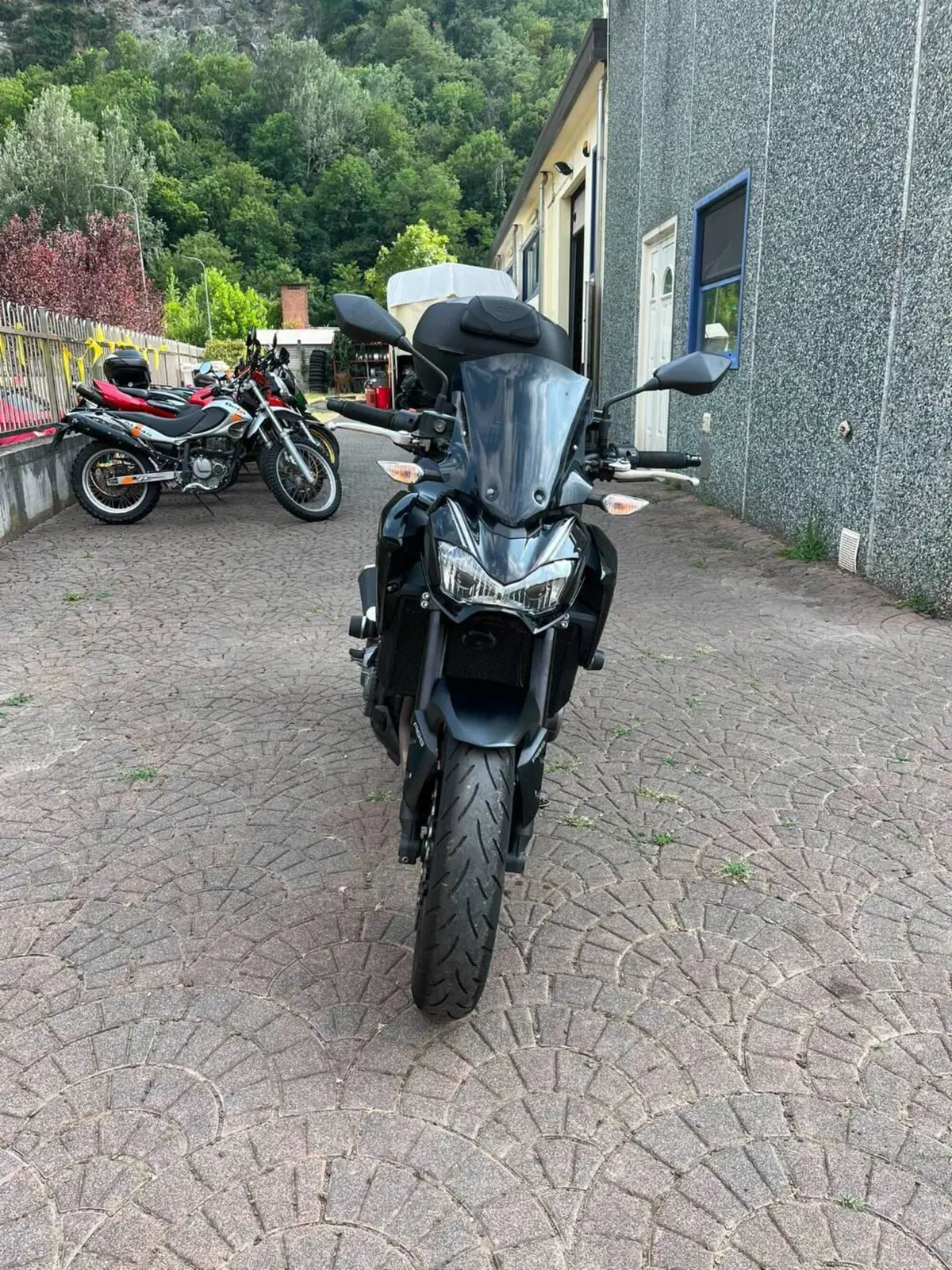 Kawasaki Z 900 (2017 - 18) (4)