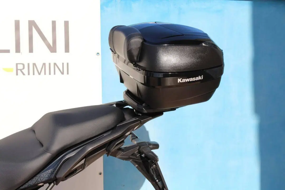 Kawasaki Versys 650 (2021 - 24) (4)