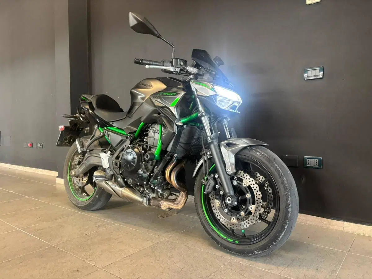 Kawasaki Z 650 (2021 - 24) (4)