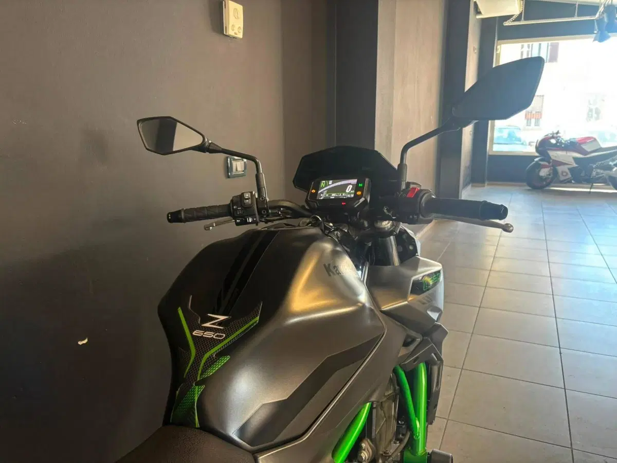 Kawasaki Z 650 (2021 - 24) (6)