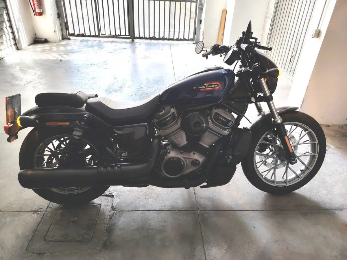 Harley-Davidson Nightster Special (2023 - 26)