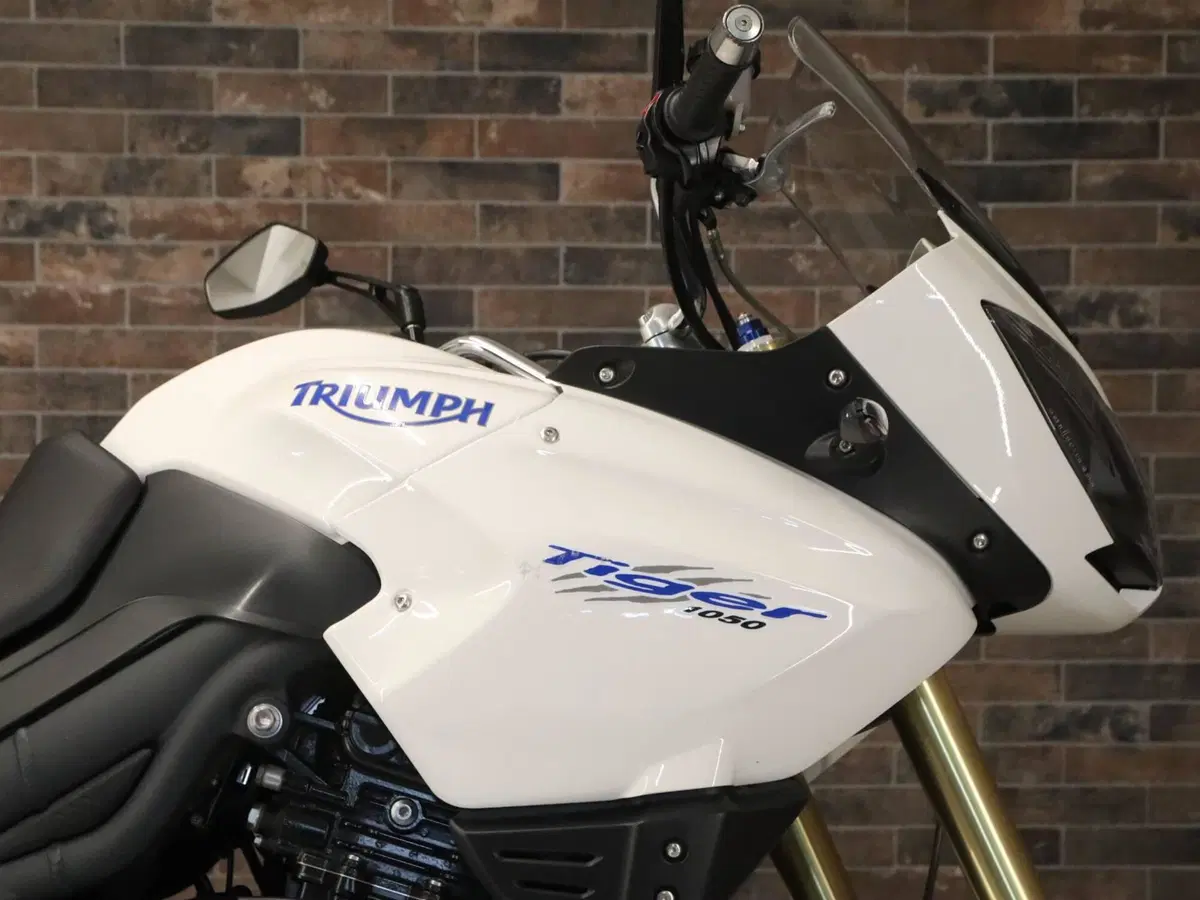 Triumph Tiger 1050 ABS (2006 - 12) (7)