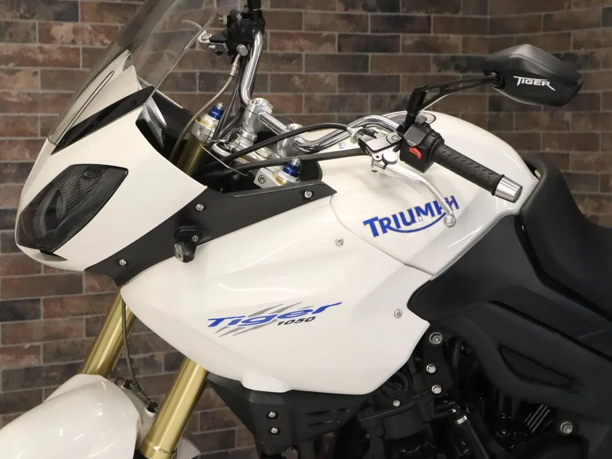 Triumph Tiger 1050 ABS (2006 - 12) (9)