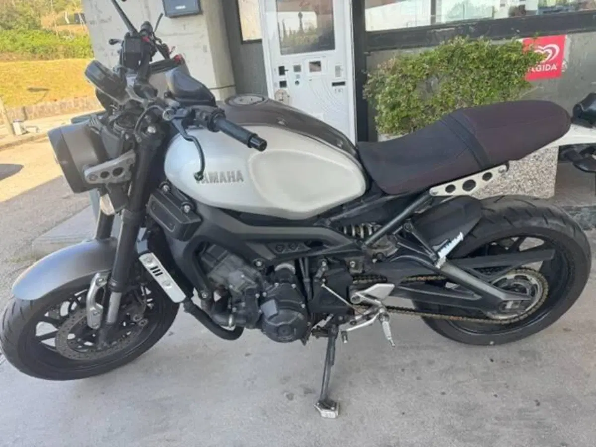 Yamaha XSR 900 ABS (2016 - 20) (9)
