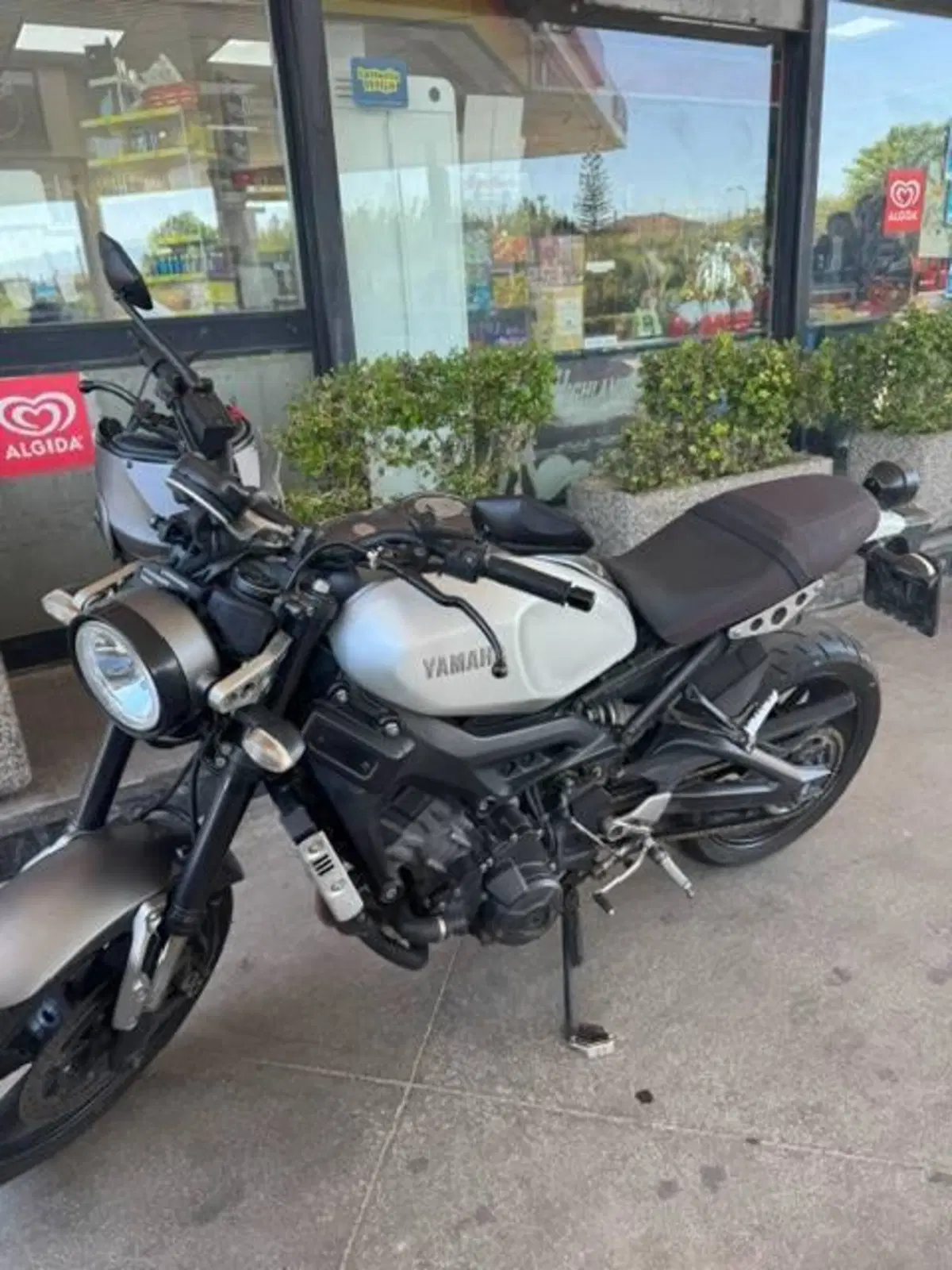 Yamaha XSR 900 ABS (2016 - 20) (13)
