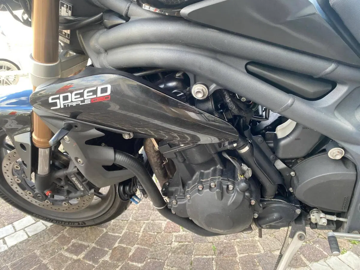Triumph Speed Triple 1050 (2005 - 11) (6)