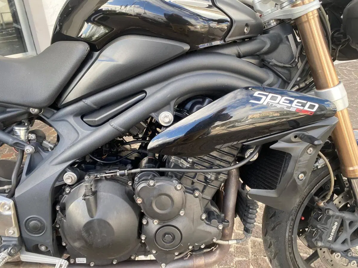 Triumph Speed Triple 1050 (2005 - 11) (7)