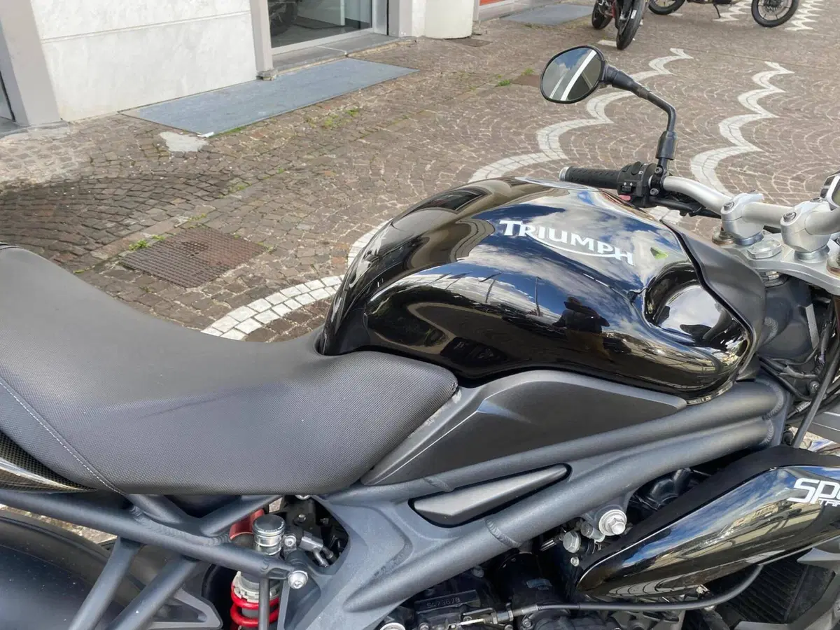 Triumph Speed Triple 1050 (2005 - 11) (8)