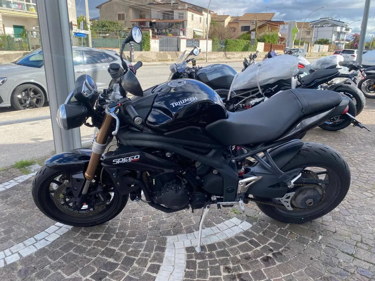 Triumph Speed Triple 1050 (2005 - 11) (2)