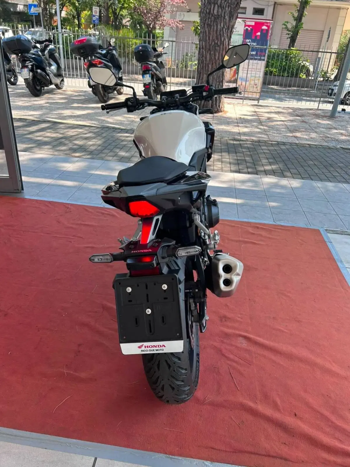 Honda CB 500 Hornet (2024 - 25) (5)