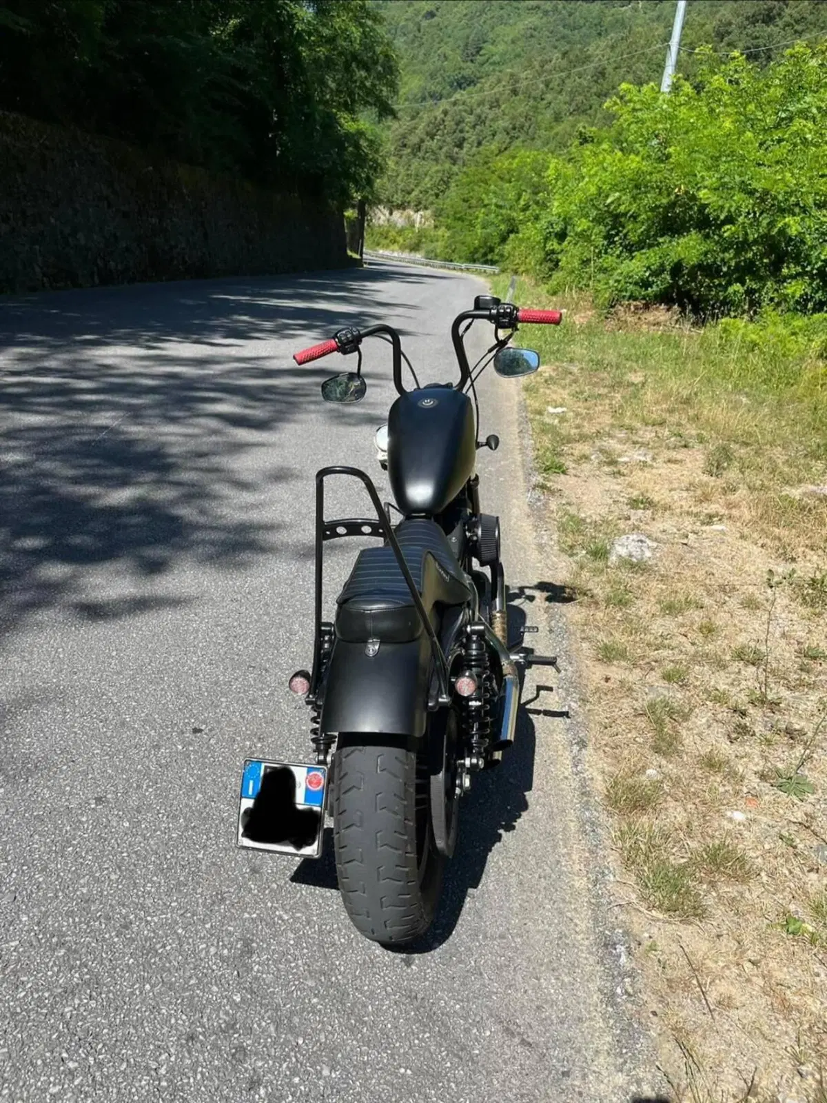 Harley-Davidson 883 Iron (2014 - 16) - XL 883N (3)