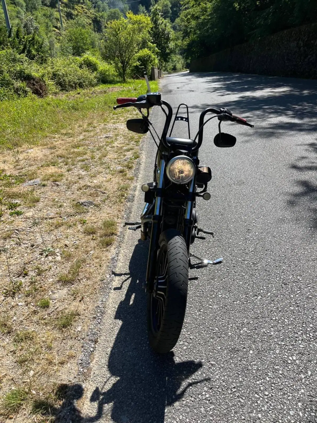 Harley-Davidson 883 Iron (2014 - 16) - XL 883N (5)