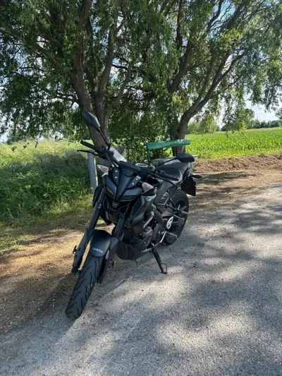 Yamaha MT-125 (2025 - 26) usata
