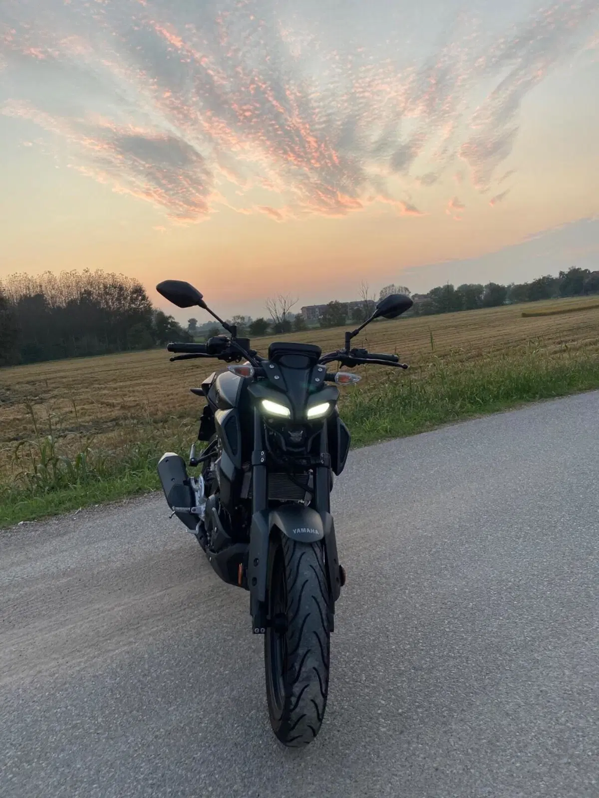 Yamaha MT-125 (2025 - 26) (6)