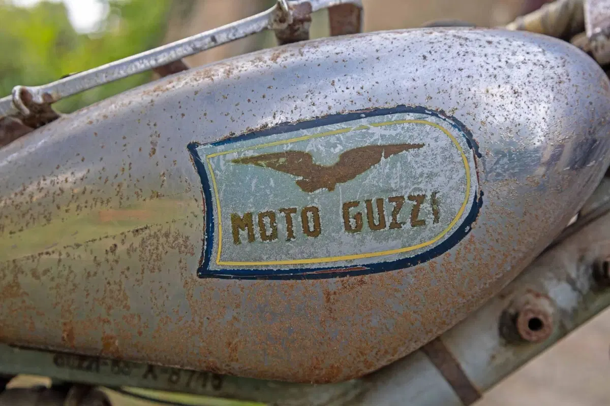 Moto Guzzi guzzino 65 (5)