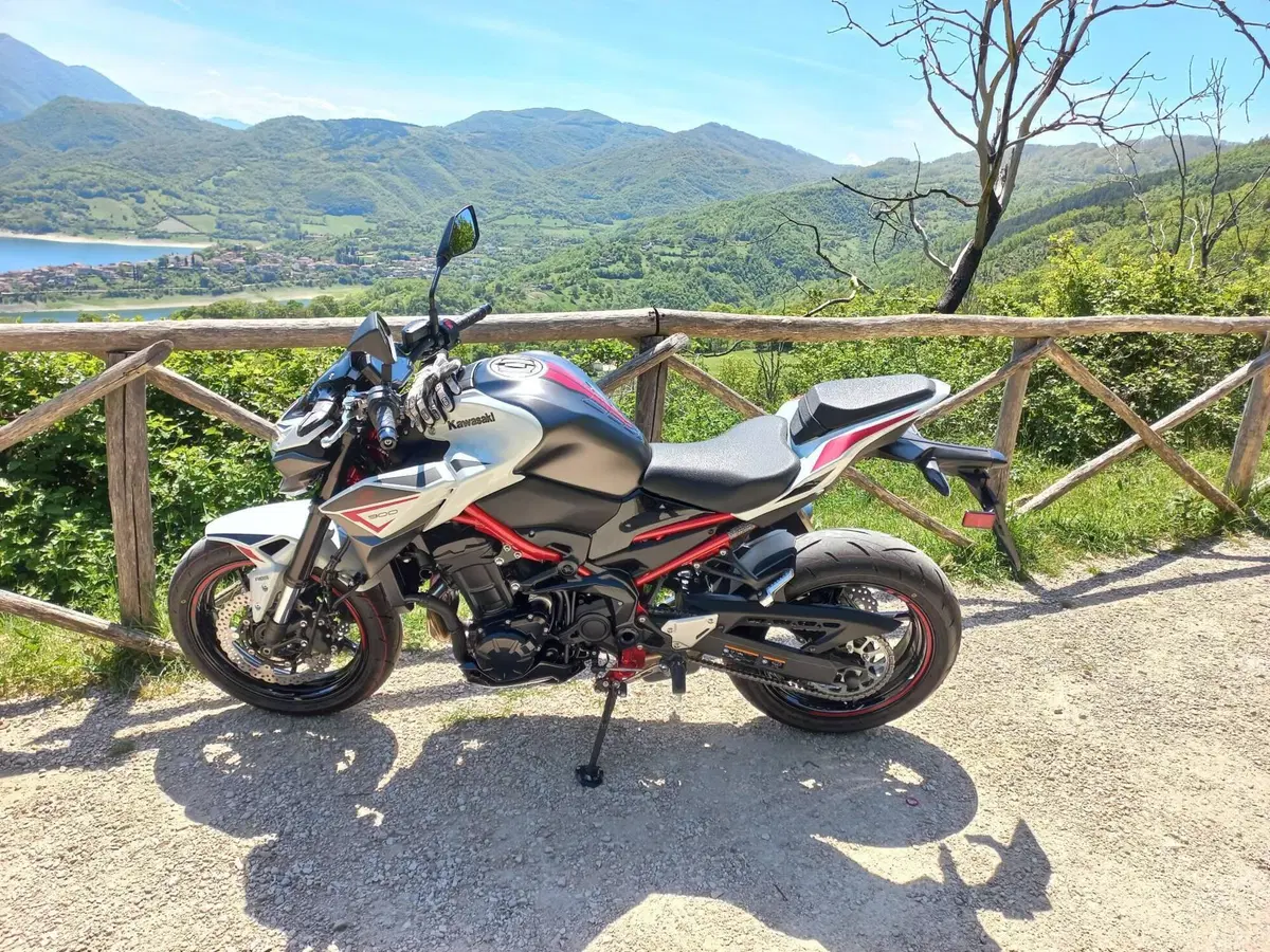Kawasaki Z 900 (2021 - 24)