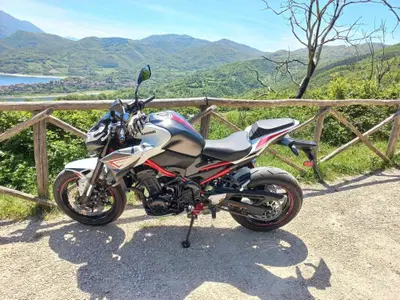 Kawasaki Z 900 (2021 - 24) usata