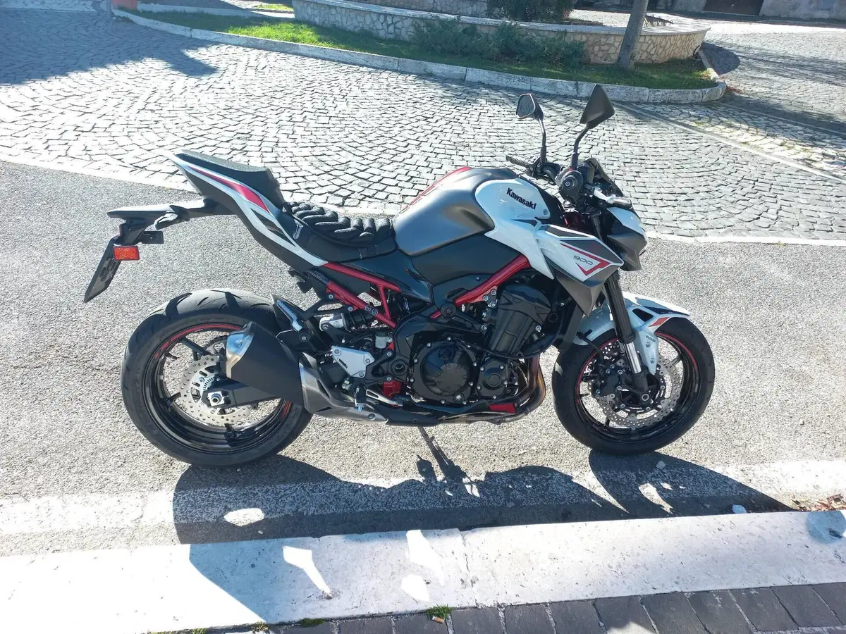 Kawasaki Z 900 (2021 - 24) (2)
