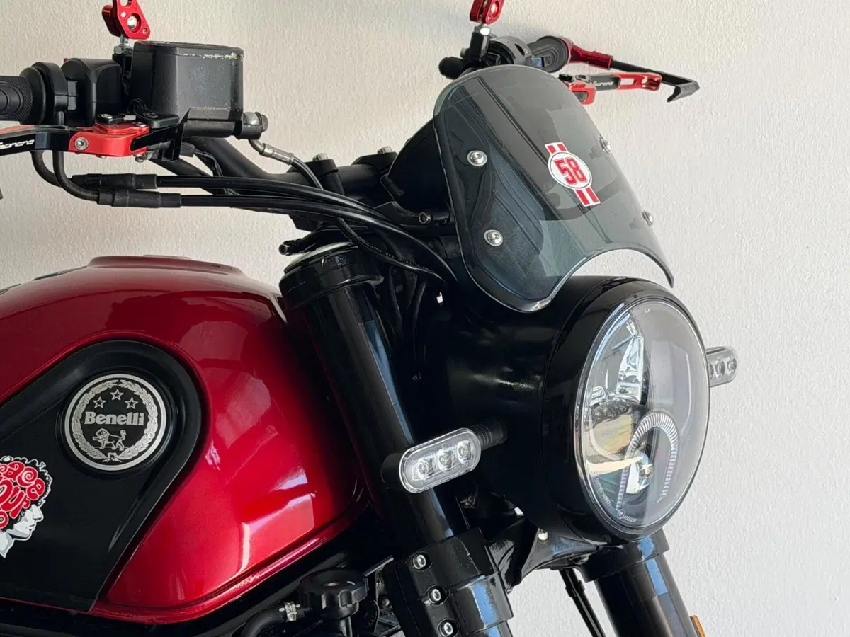 Benelli Leoncino 500 ABS (2017 - 20) (8)