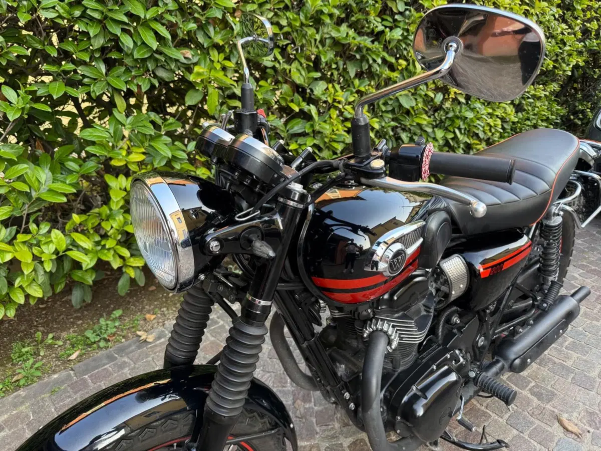 Kawasaki W 800 (2010 - 17) (5)