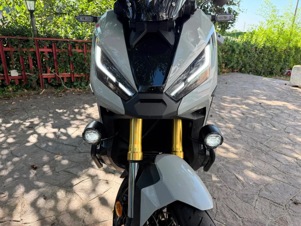 Honda X-ADV 750 (2018 - 20) (4)