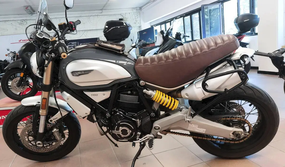 Ducati Scrambler 1100 (2018 - 20) (4)