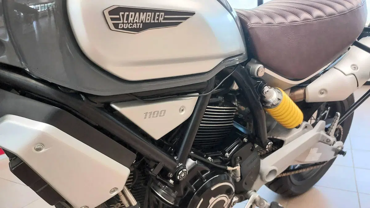 Ducati Scrambler 1100 (2018 - 20) (3)