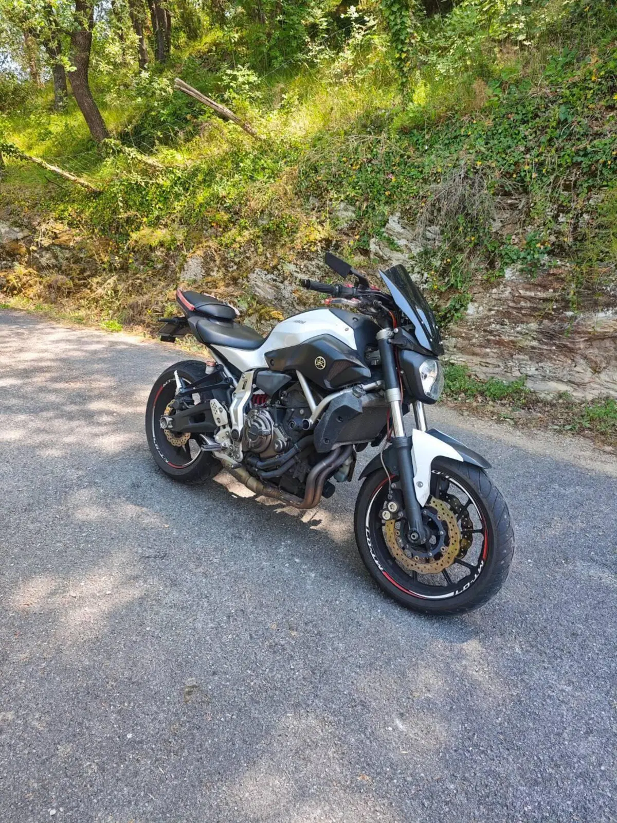 Yamaha MT-07 (2014 - 16) (2)