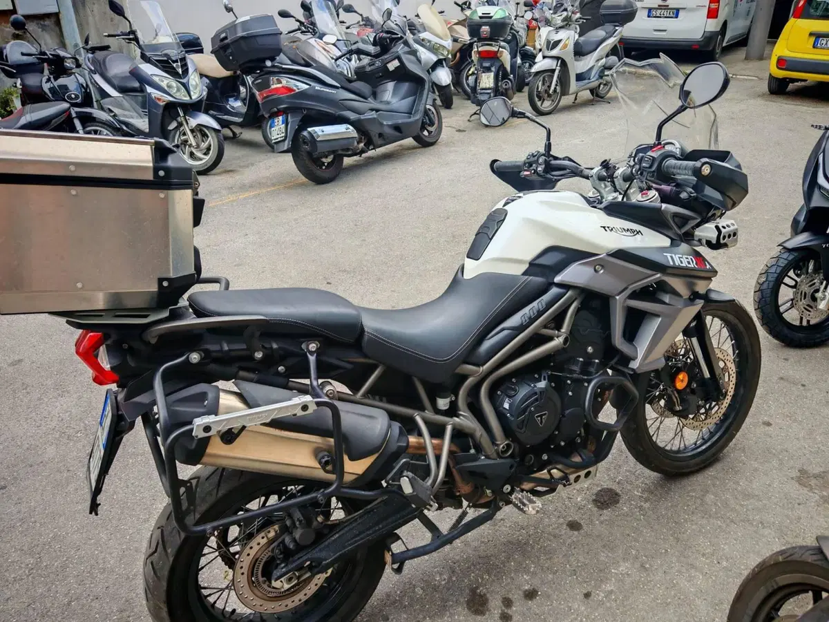 Triumph Tiger 800 XCa (2015 - 17) (6)