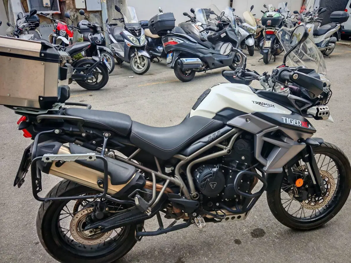 Triumph Tiger 800 XCa (2015 - 17) (7)
