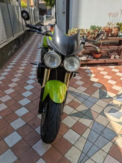 Triumph Speed Triple 1050 (2005 - 11) usata