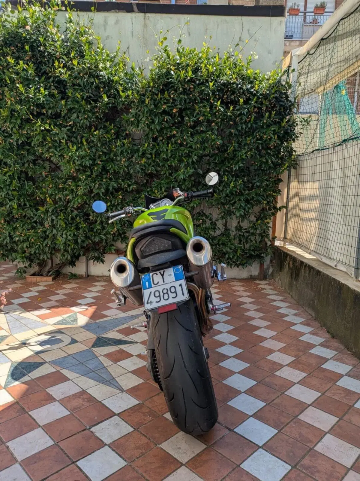 Triumph Speed Triple 1050 (2005 - 11) (3)