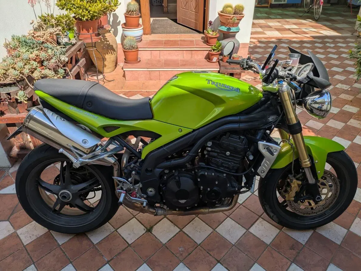 Triumph Speed Triple 1050 (2005 - 11) (4)