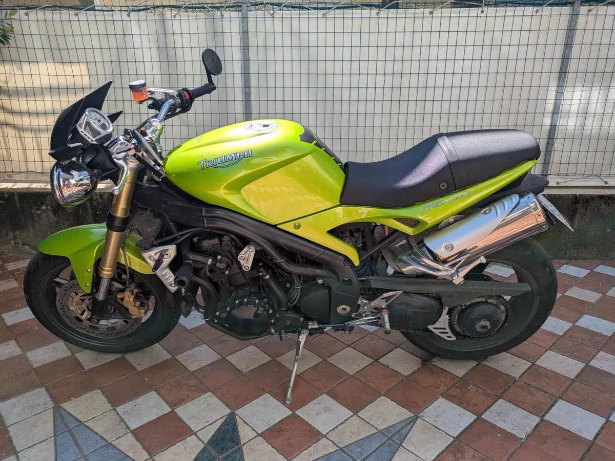Triumph Speed Triple 1050 (2005 - 11) (5)