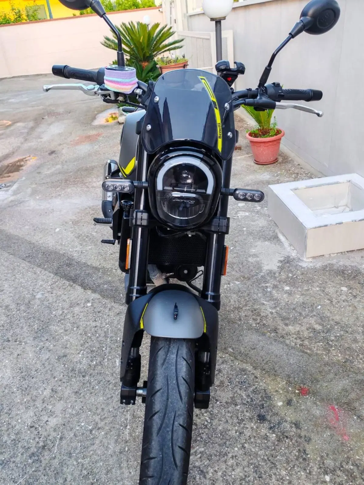 Benelli Leoncino 250 (2021 - 25)