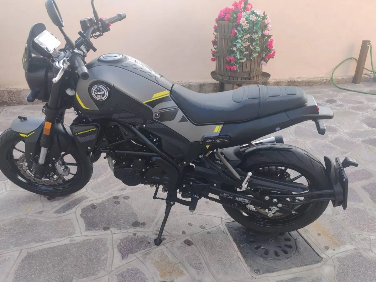 Benelli Leoncino 250 (2021 - 25) (4)