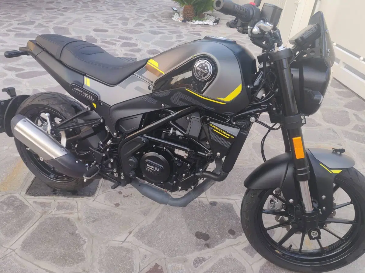 Benelli Leoncino 250 (2021 - 25) (5)