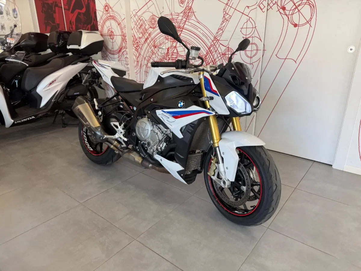 Bmw S 1000 R (2017 - 20) (2)
