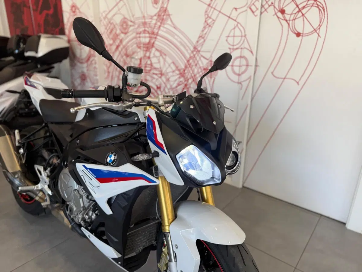 Bmw S 1000 R (2017 - 20) (10)