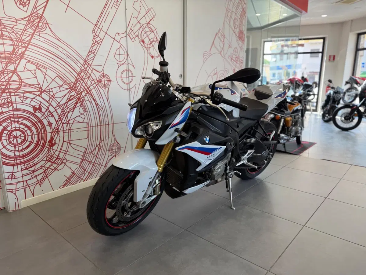 Bmw S 1000 R (2017 - 20) (5)