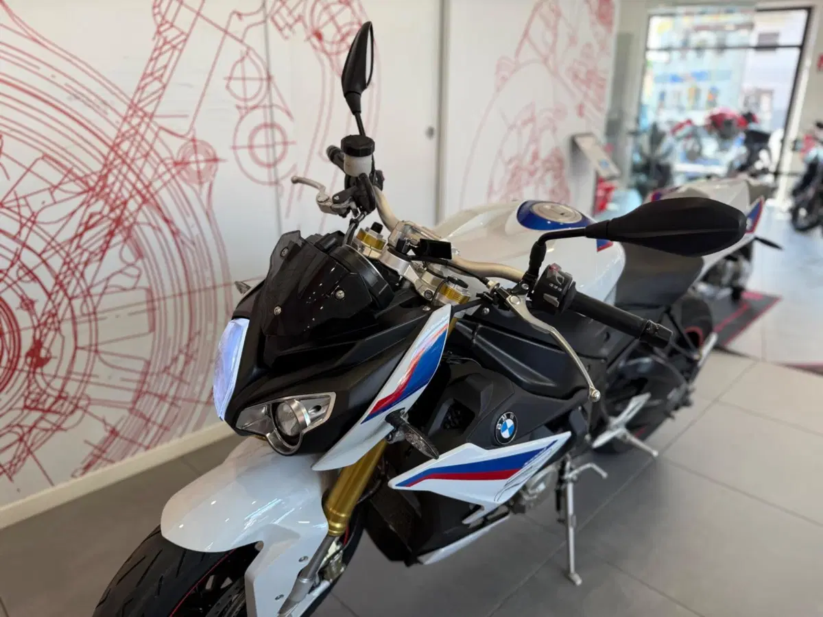 Bmw S 1000 R (2017 - 20) (14)
