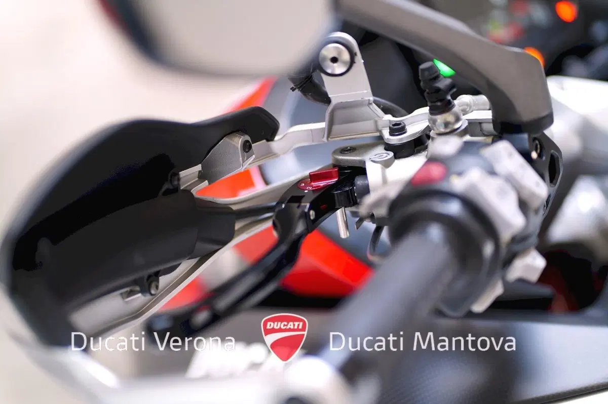 Ducati Multistrada 1260 Pikes Peak (2018 - 20) (18)