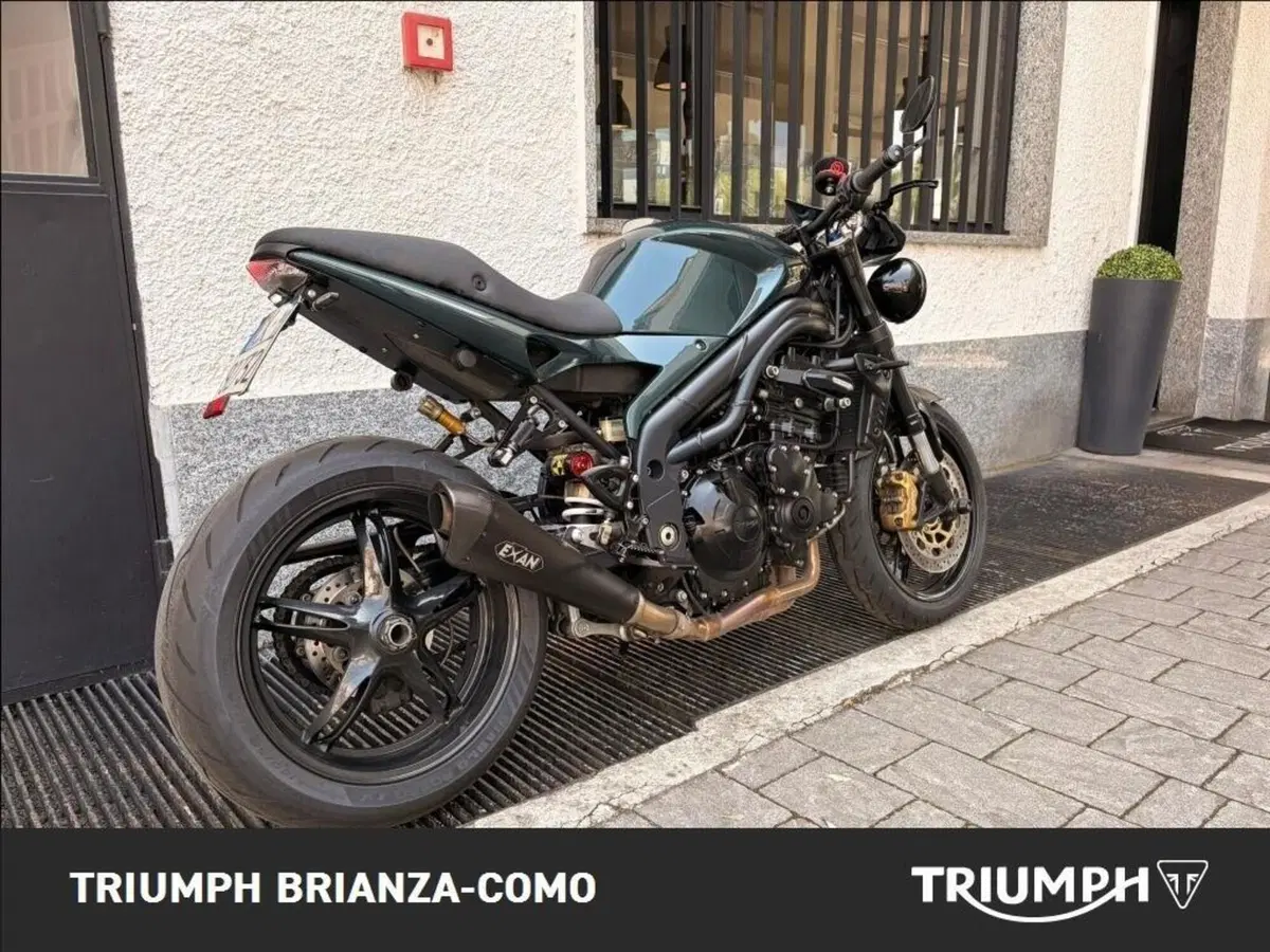 Triumph Speed Triple 1050 (2005 - 11) (3)