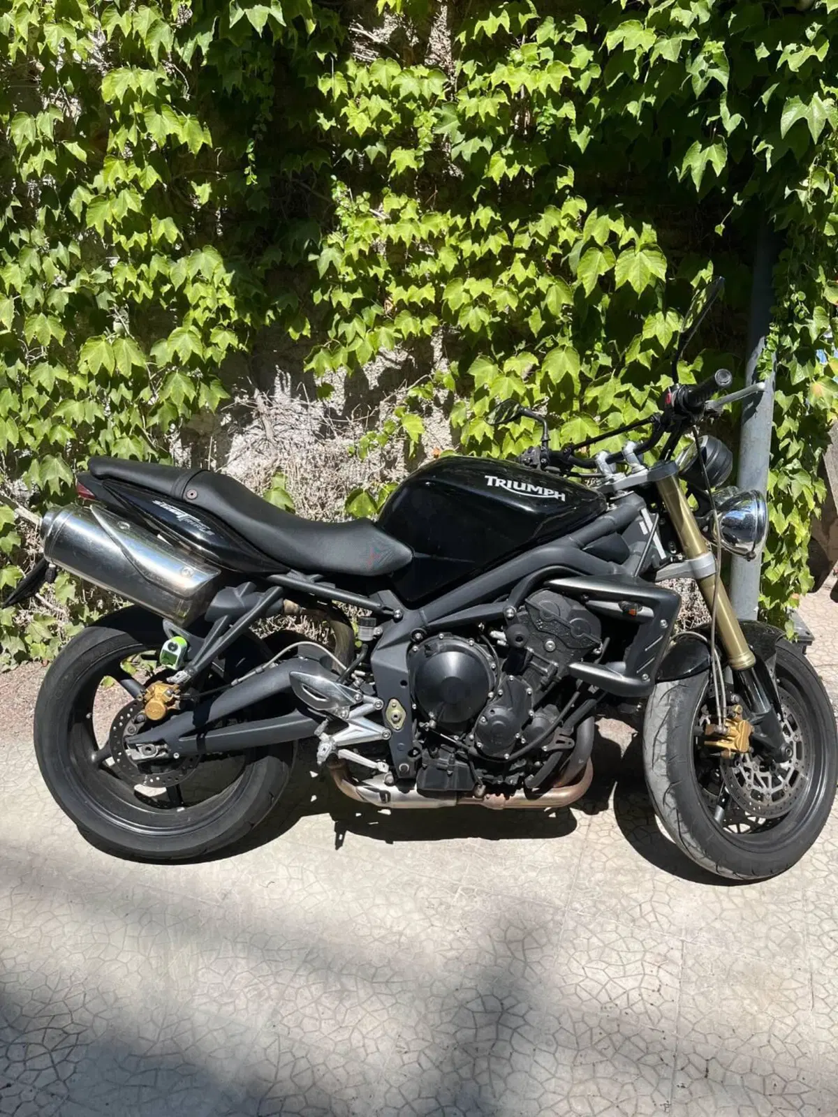 Triumph Street Triple (2007 - 12) (5)