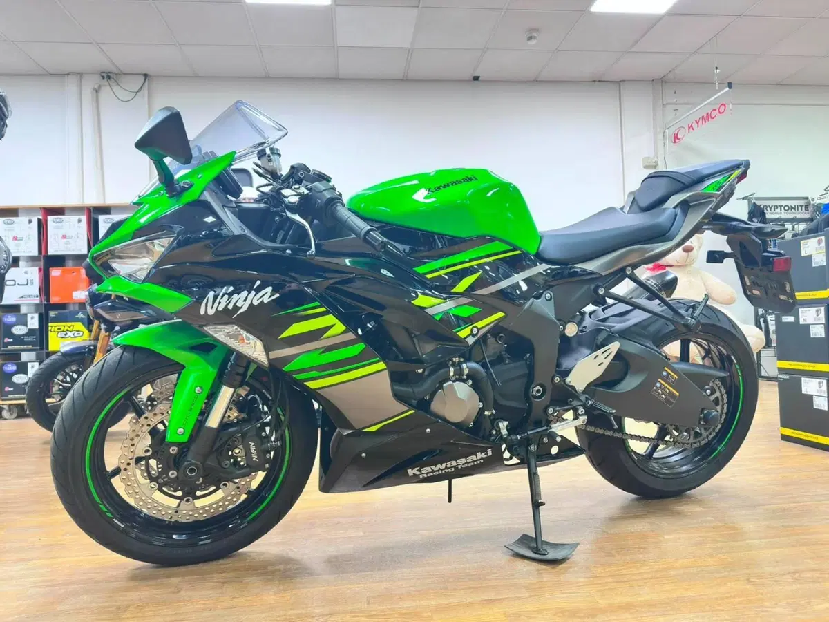 Kawasaki Ninja 636 ZX-6R Performance (2019 - 20) (4)